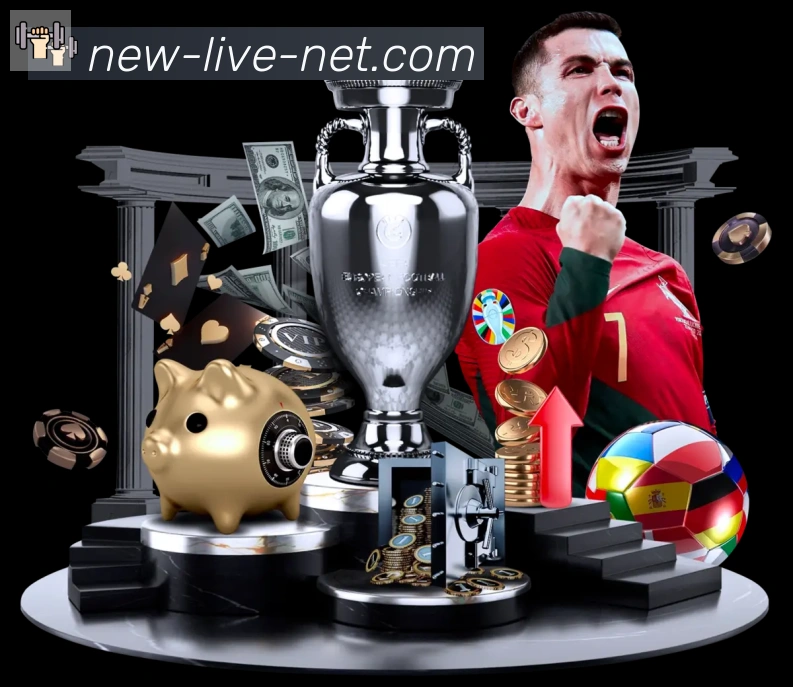 体育数据展示